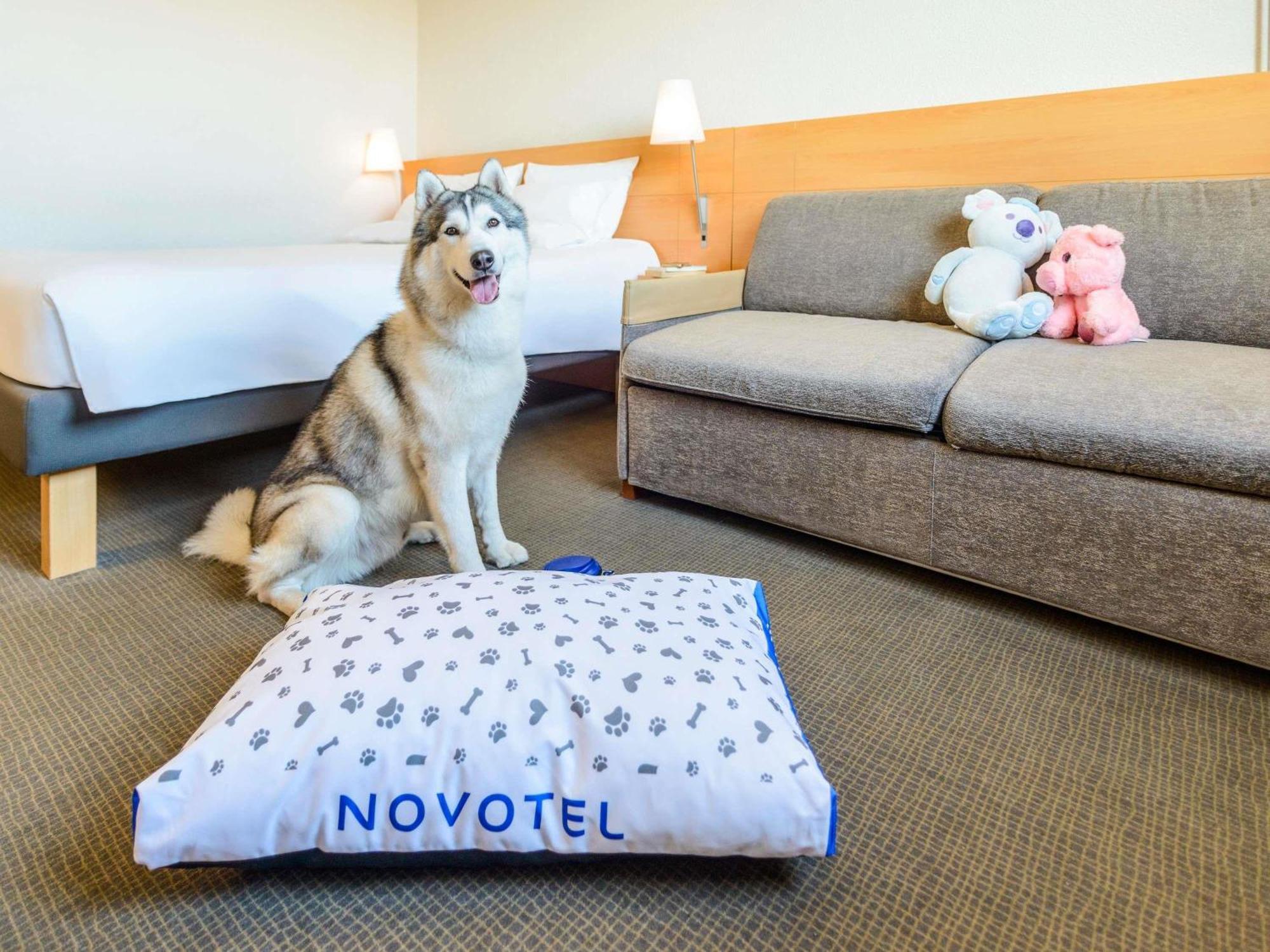 Novotel Torino Corso Giulio Cesare Exteriér fotografie